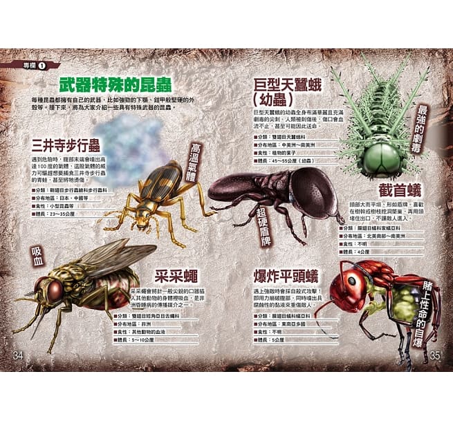 昆蟲最強王圖鑑：NO.1爭奪淘汰賽